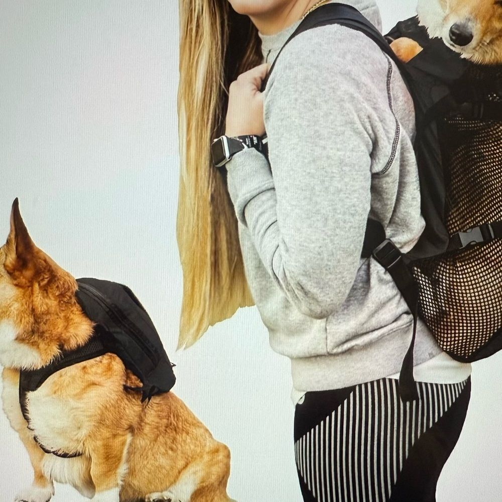 K9 Sport Sack Walk-On Packable Backpack Dog Carrier, Black Large